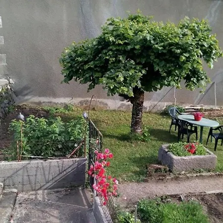Chaleureux Avec Jardin, Proche De Salers, Activites Nature Et Sports D'hiver, Wi-fi Inclus - Fr-1-742-372 Drugeac